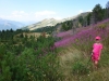 Prokletije - Bora