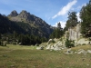 DSC00549