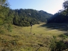 Arzenbödenalm