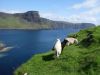 Neist Point