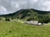 Krvavec