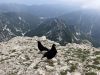 Mala Mojstrovka