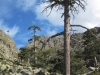 Paglia Orba