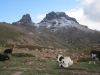 Paglia Orba