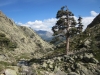 Paglia Orba