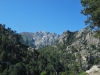 Capelaccia