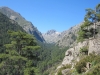 Capelaccia
