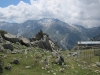 Capelaccia